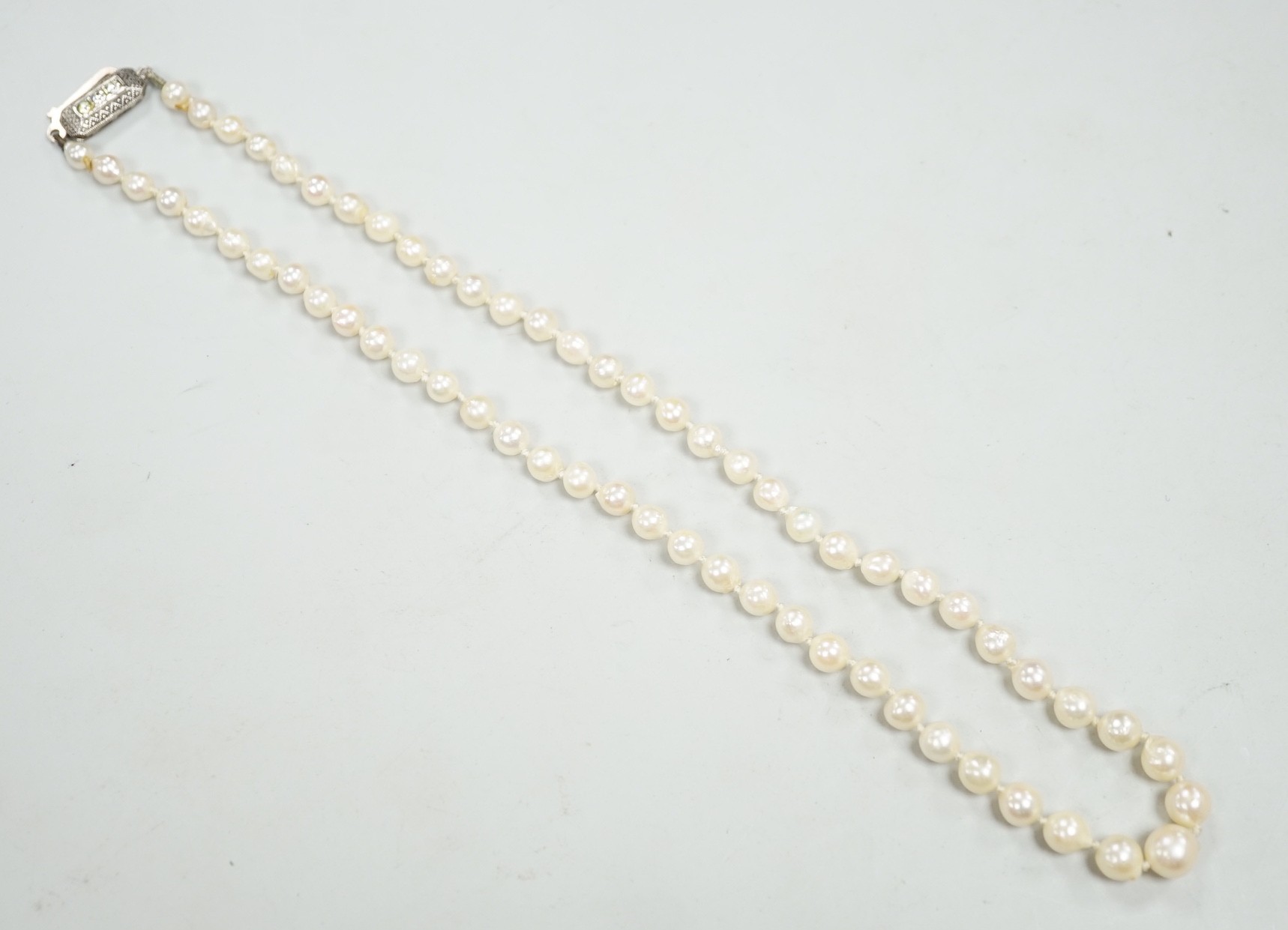 A single strand culture pearl necklace, with paste set sterling clasp, 38cm.